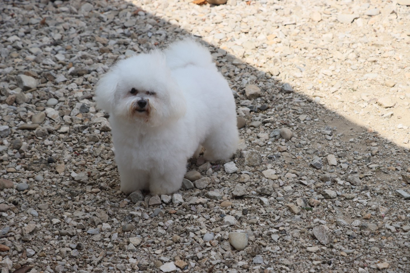 VAYA de la grande equinoxe